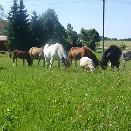 Landgasthof Zum Schwanen Hornberg Dış mekan fotoğraf