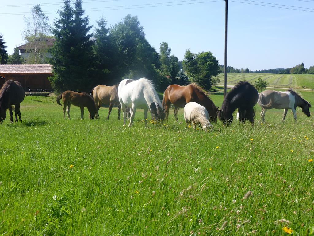 Landgasthof Zum Schwanen Hornberg Dış mekan fotoğraf