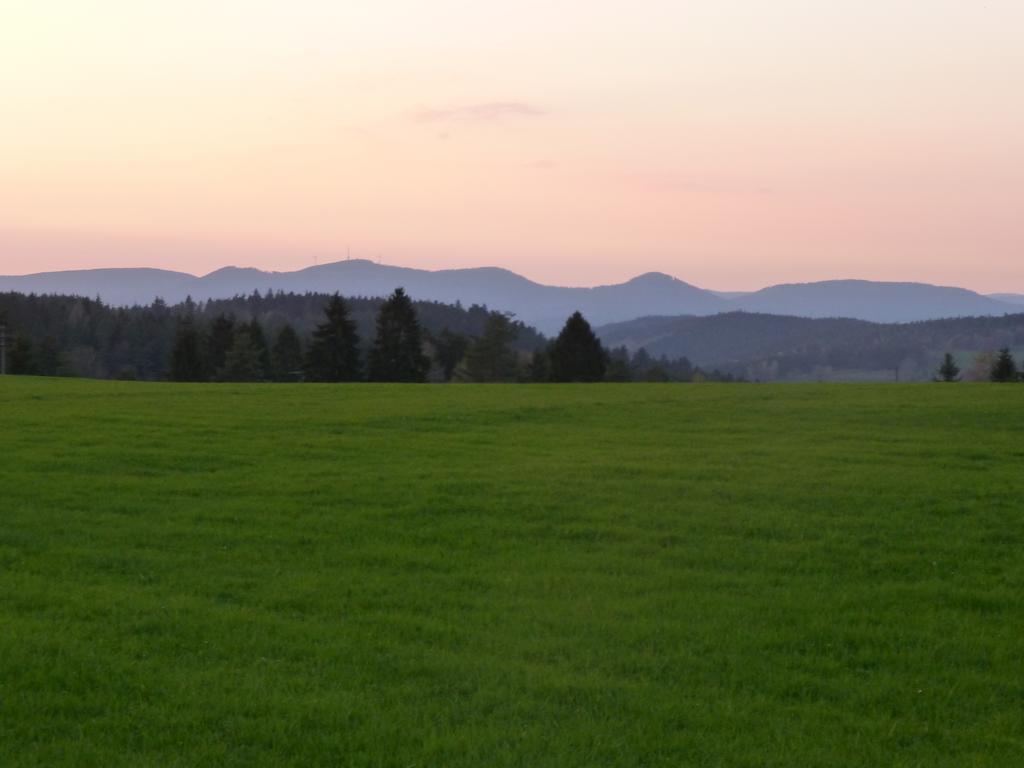 Landgasthof Zum Schwanen Hornberg Dış mekan fotoğraf