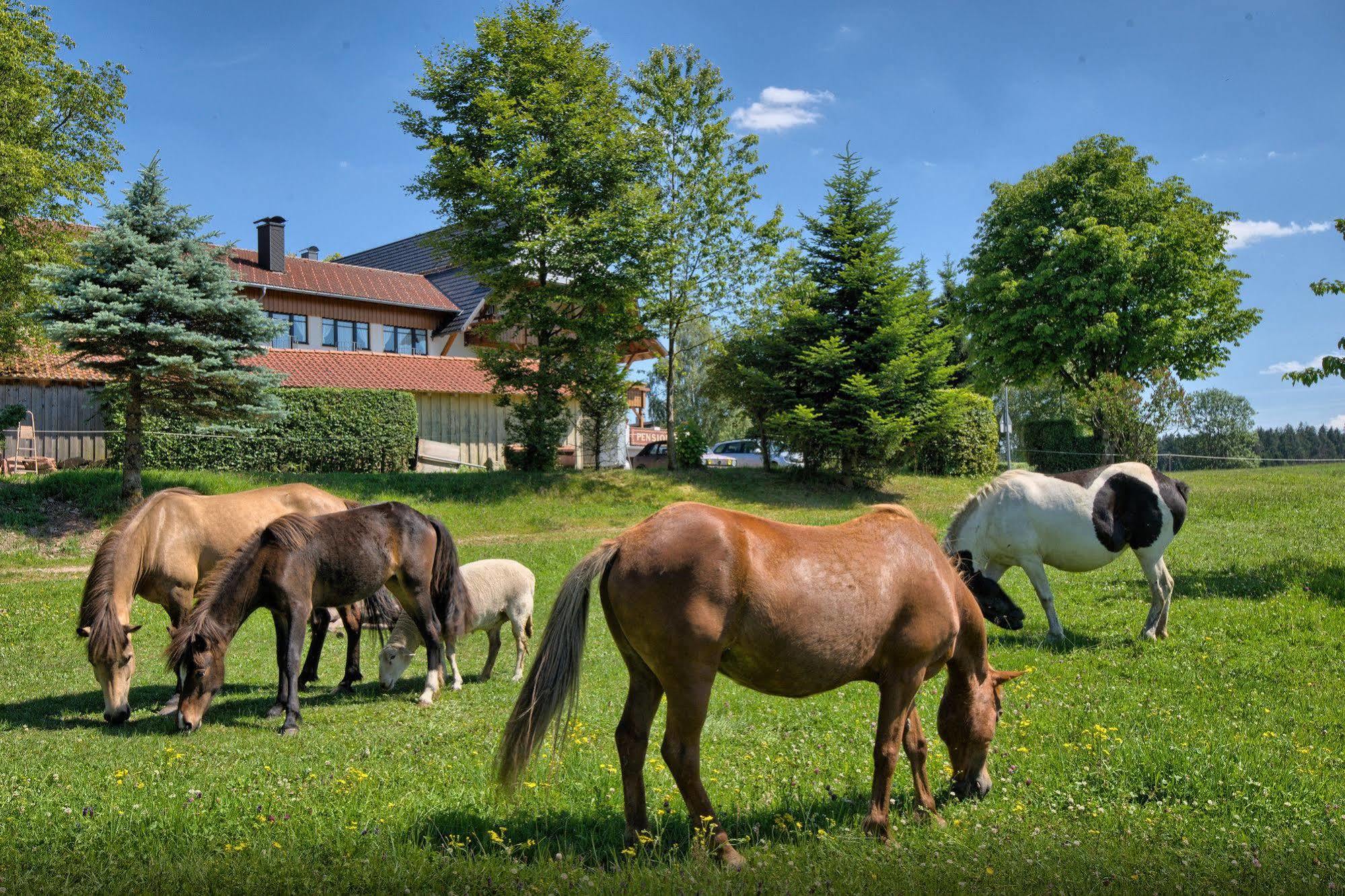 Landgasthof Zum Schwanen Hornberg Dış mekan fotoğraf